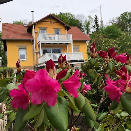 Ferienwohnung Casa Casimir Mit Elbblick, Balkon Und Grossen Garten Dresden Bagian luar foto