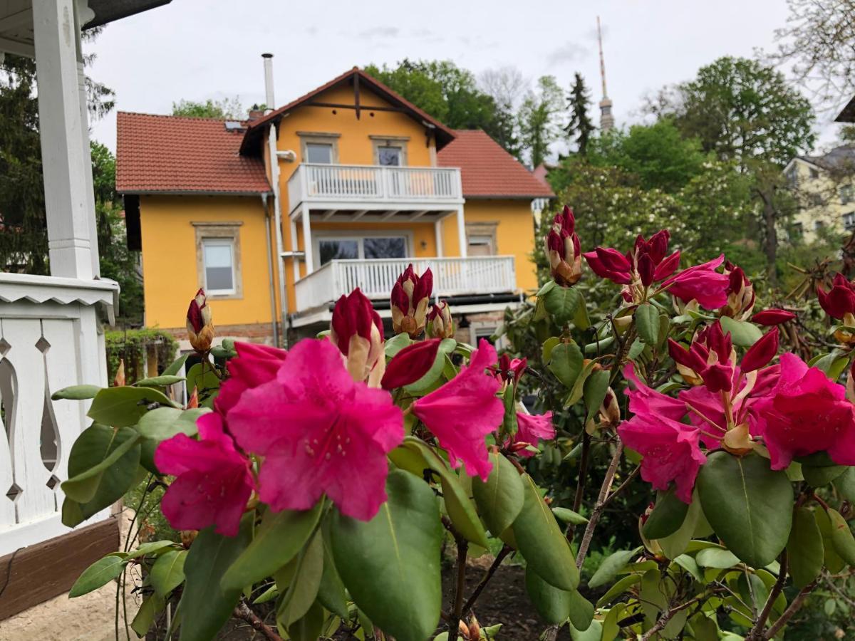 Ferienwohnung Casa Casimir Mit Elbblick, Balkon Und Grossen Garten Dresden Bagian luar foto